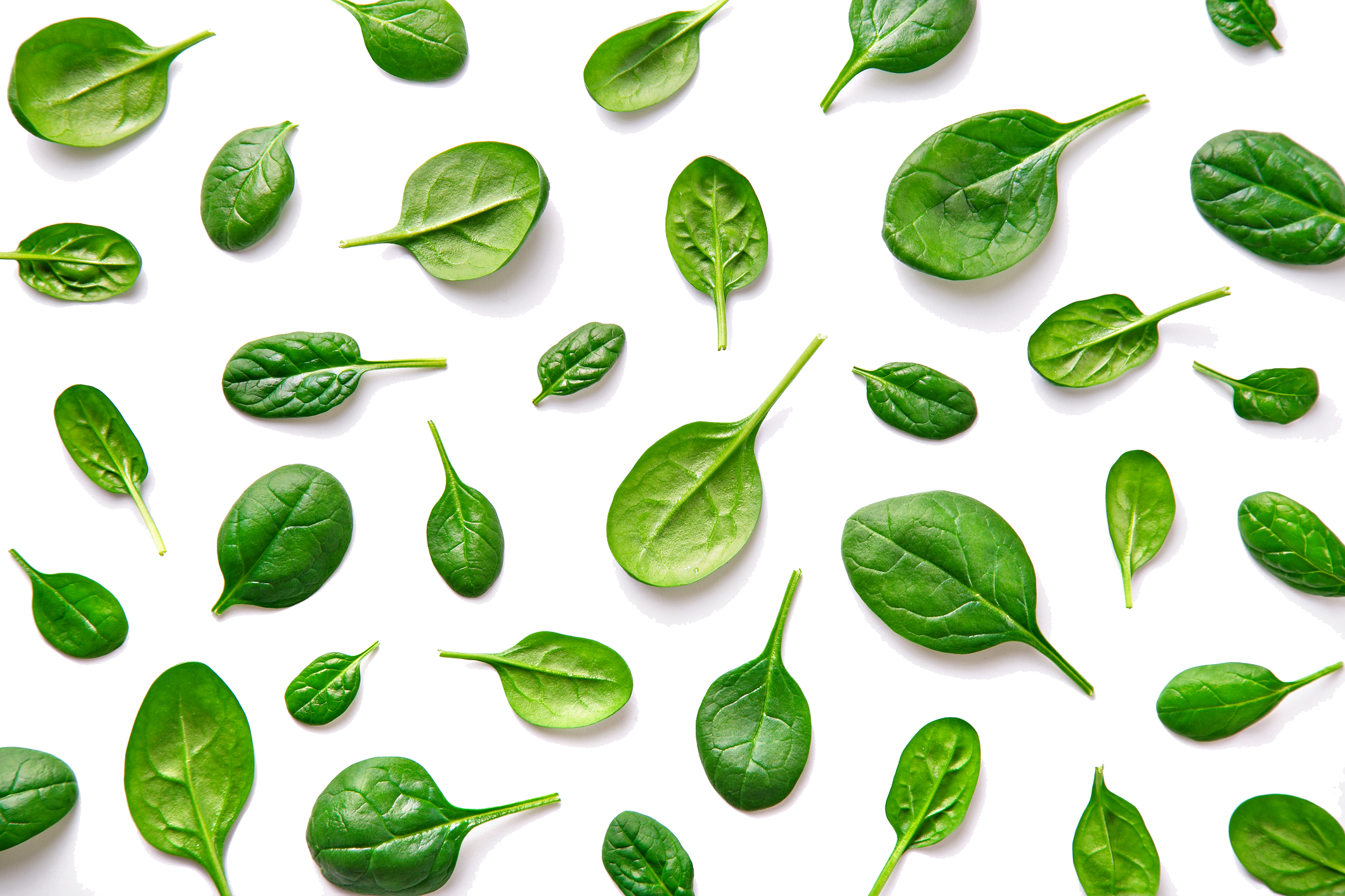 Basil - Spinach Clipart (2121x1414), Png Download