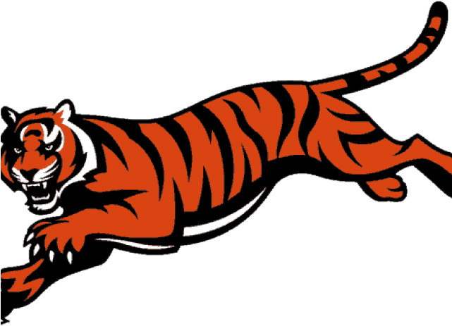 Cincinnati Bengals Logo Clipart (640x480), Png Download