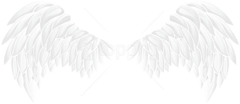 Free Png White Wings Png Images Transparent - White Wings Png Clipart (850x373), Png Download