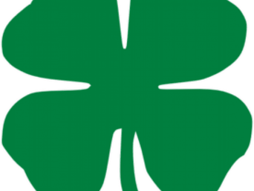 Picture 4 Leaf Clover - Shamrock Clipart (850x638), Png Download