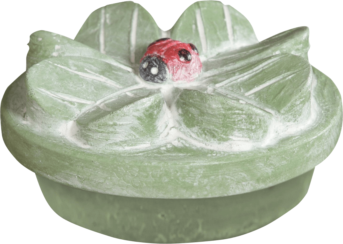 Four Leaf Clover - Fountain Clipart (1178x838), Png Download