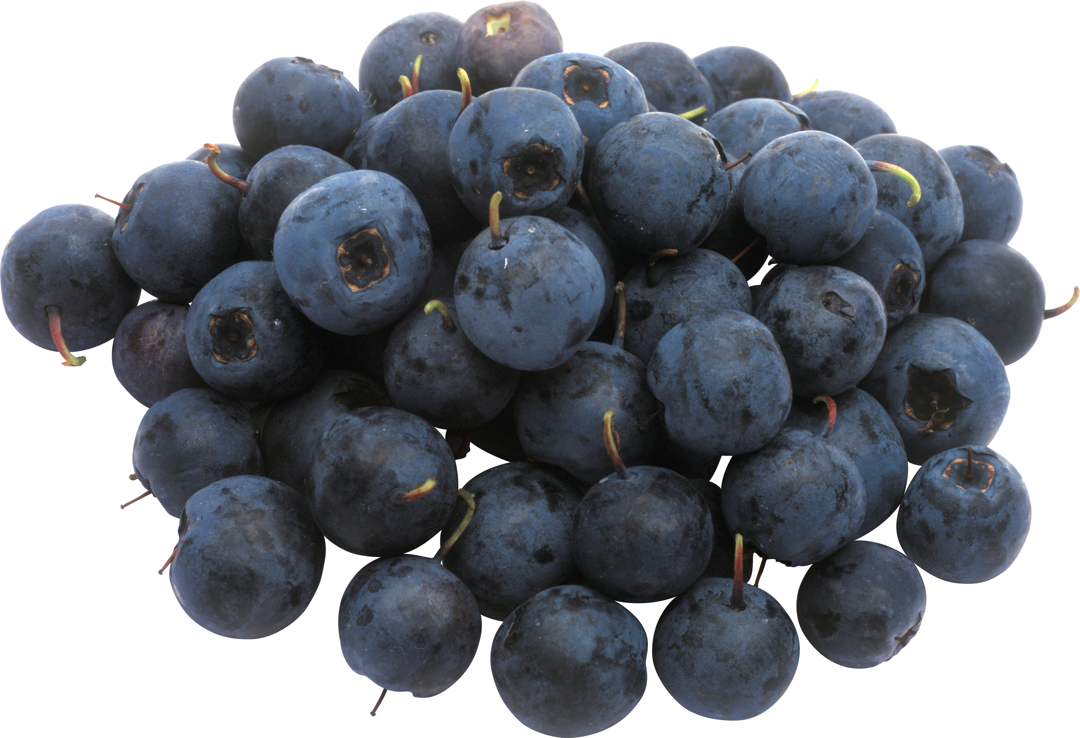 Blueberry Clipart (3626x2478), Png Download