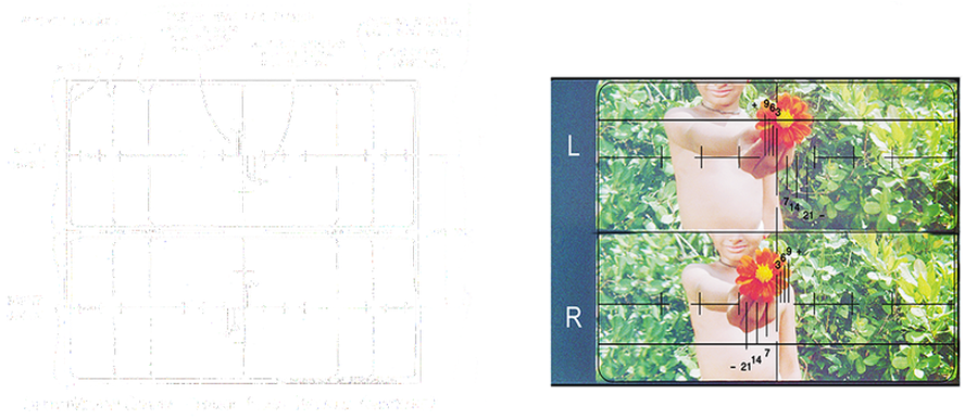 Reticle - Garden Roses Clipart (911x386), Png Download