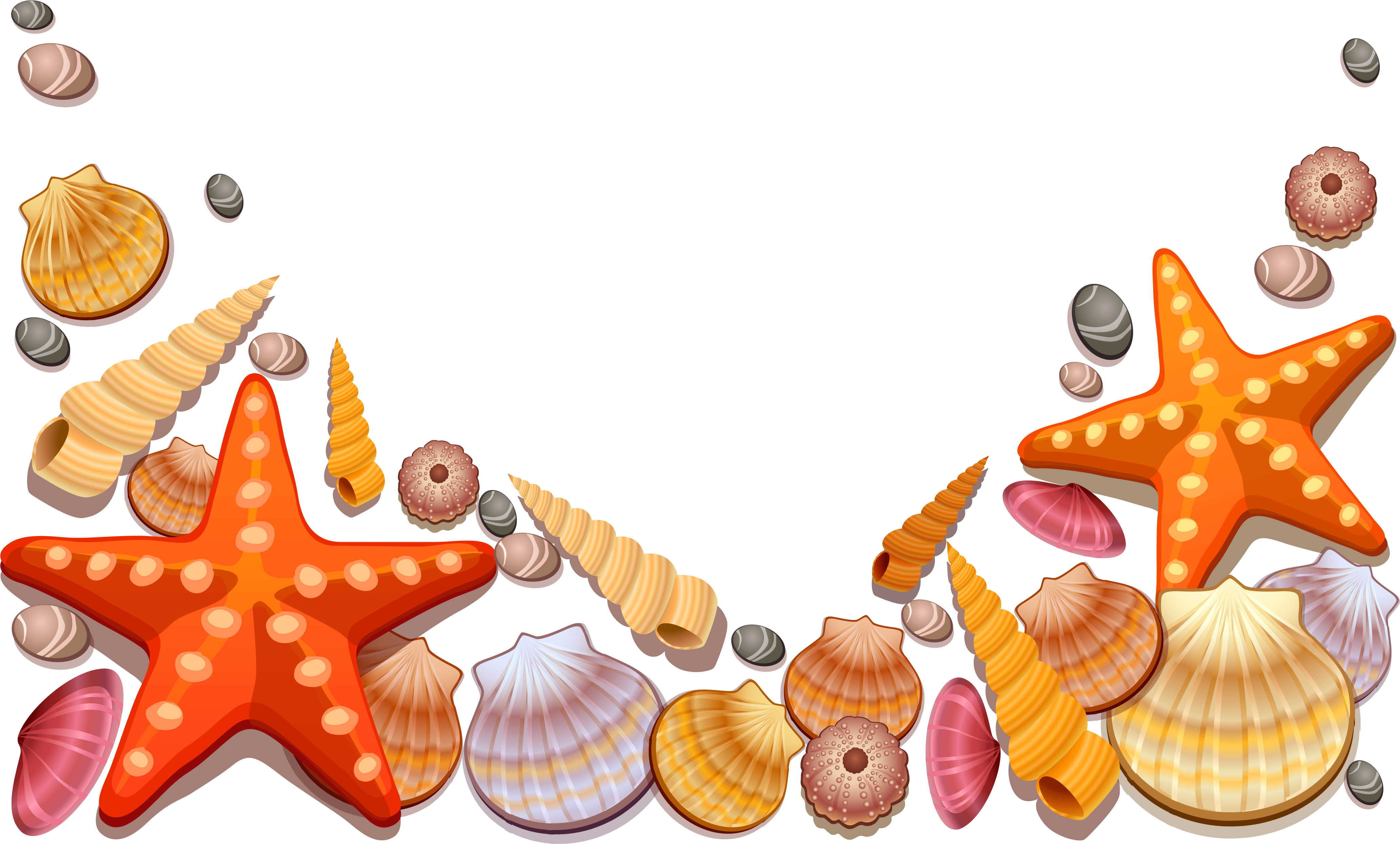 Nautical Christmas Clipart - Sea Shells Vector Png Transparent Png (4242x2645), Png Download