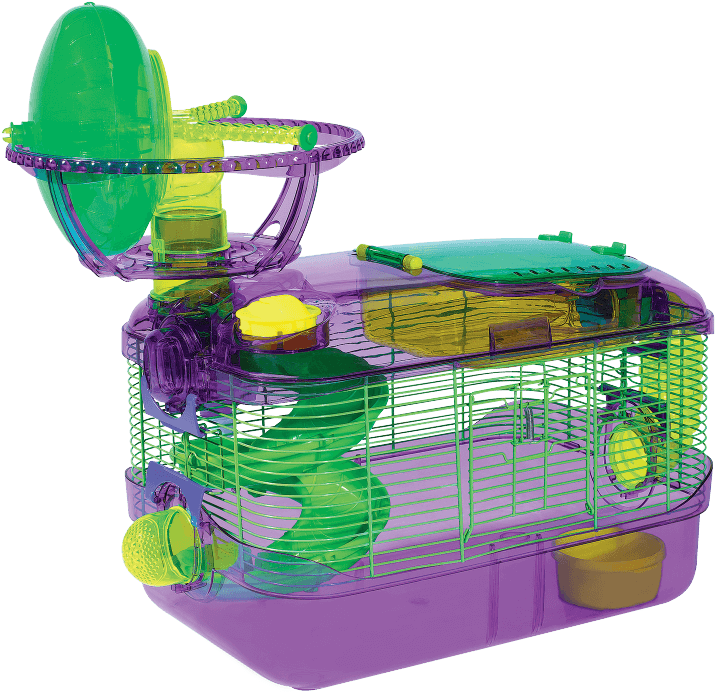 750 X 750 2 - Hamster Clipart (750x750), Png Download