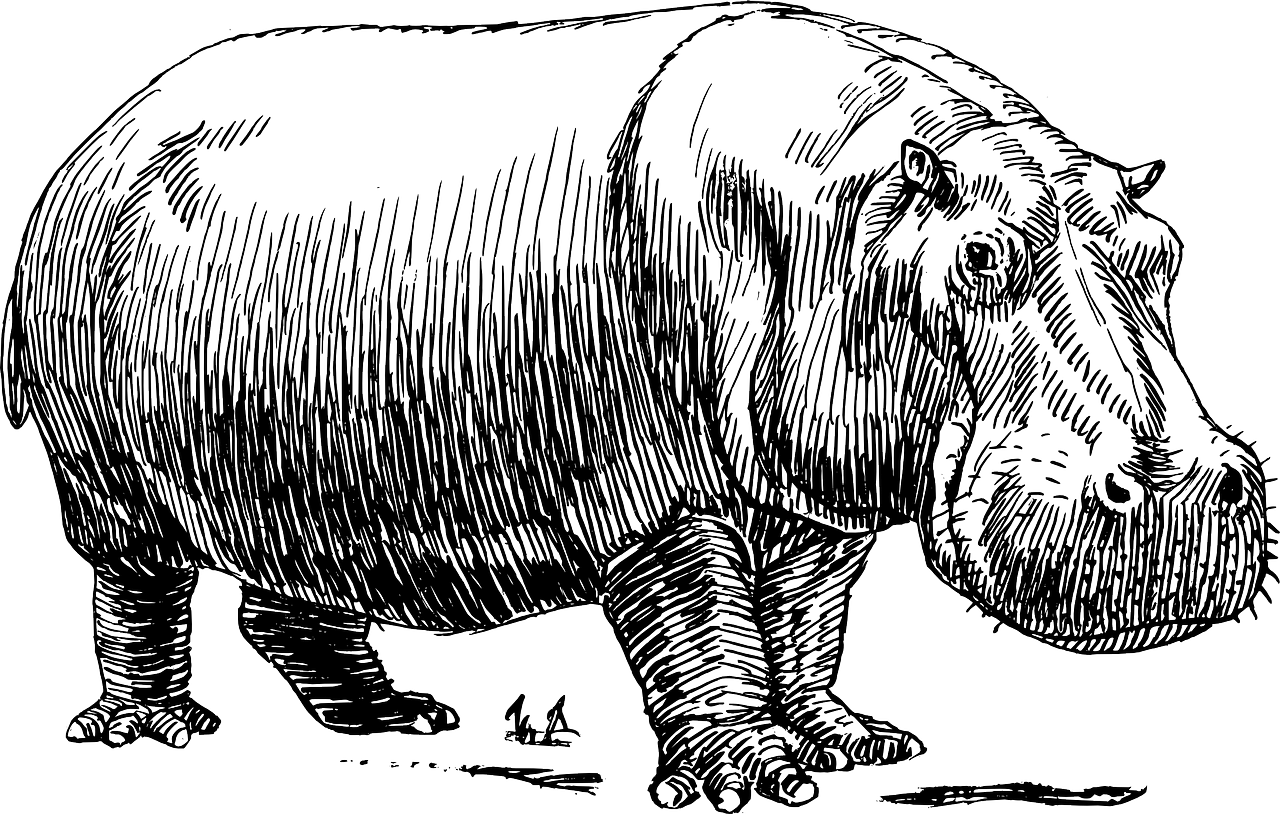 Do You Prioritise Like A Hippo - Black And White Hippo Clipart (1280x814), Png Download