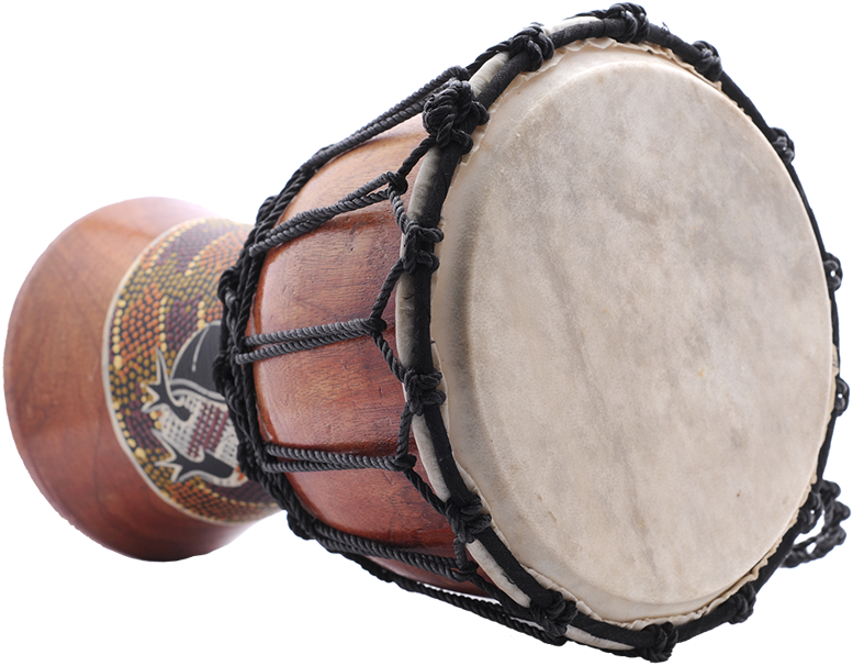 Percussion Percussion - Brazilian Percussion Instruments Clipart (800x622), Png Download