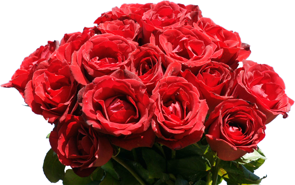 Share This Image - Red Roses Clipart (953x600), Png Download