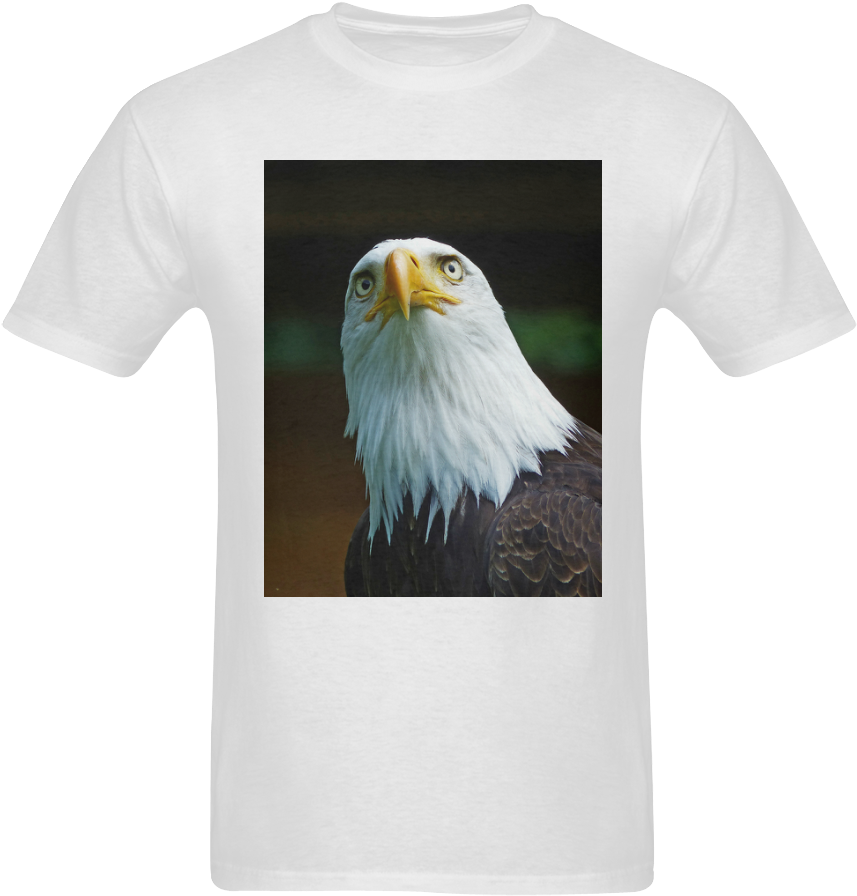 American Bald Eagle Head 001 01 Sunny Men's T- Shirt - Bald Eagle Clipart (1000x1000), Png Download