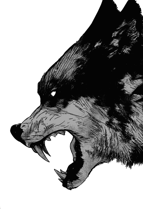 Black And White Wolf Drawing - Manga Wolf Clipart (500x727), Png Download
