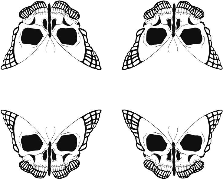 Clip Art Images - Butterfly With Skull Face - Png Download (800x720), Png Download