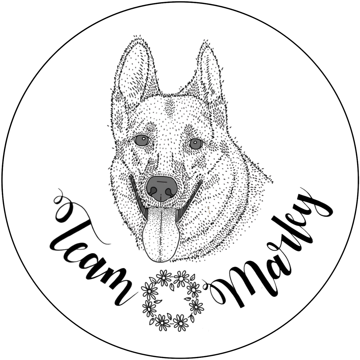 I Drew The Site Dogs Of - Kishu Clipart (1200x1181), Png Download