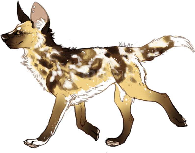 Free Png Download Wild Dogs Png Images Background Png - African Wild Dog Art Clipart (850x683), Png Download