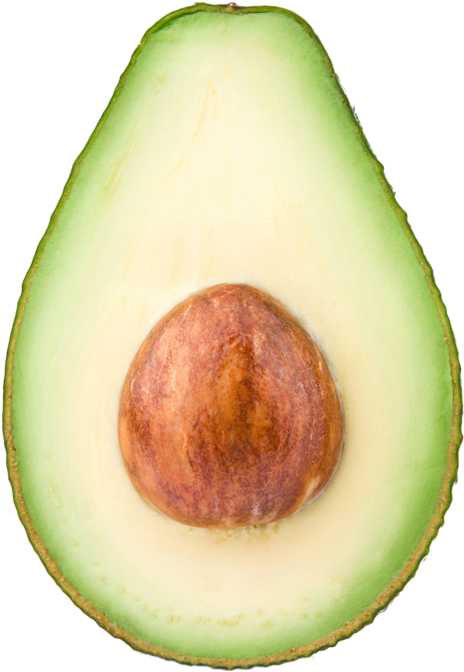 Avocado Clipart Cute Tumblr - Transparent Avocado - Png Download (500x739), Png Download