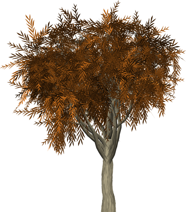 Tree, Leaves, Autumn, Fall, Branches, Isolated, Nature - Albero In Autunno Png Clipart (633x720), Png Download
