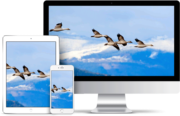 Apple-devices1 - Led-backlit Lcd Display Clipart (800x500), Png Download