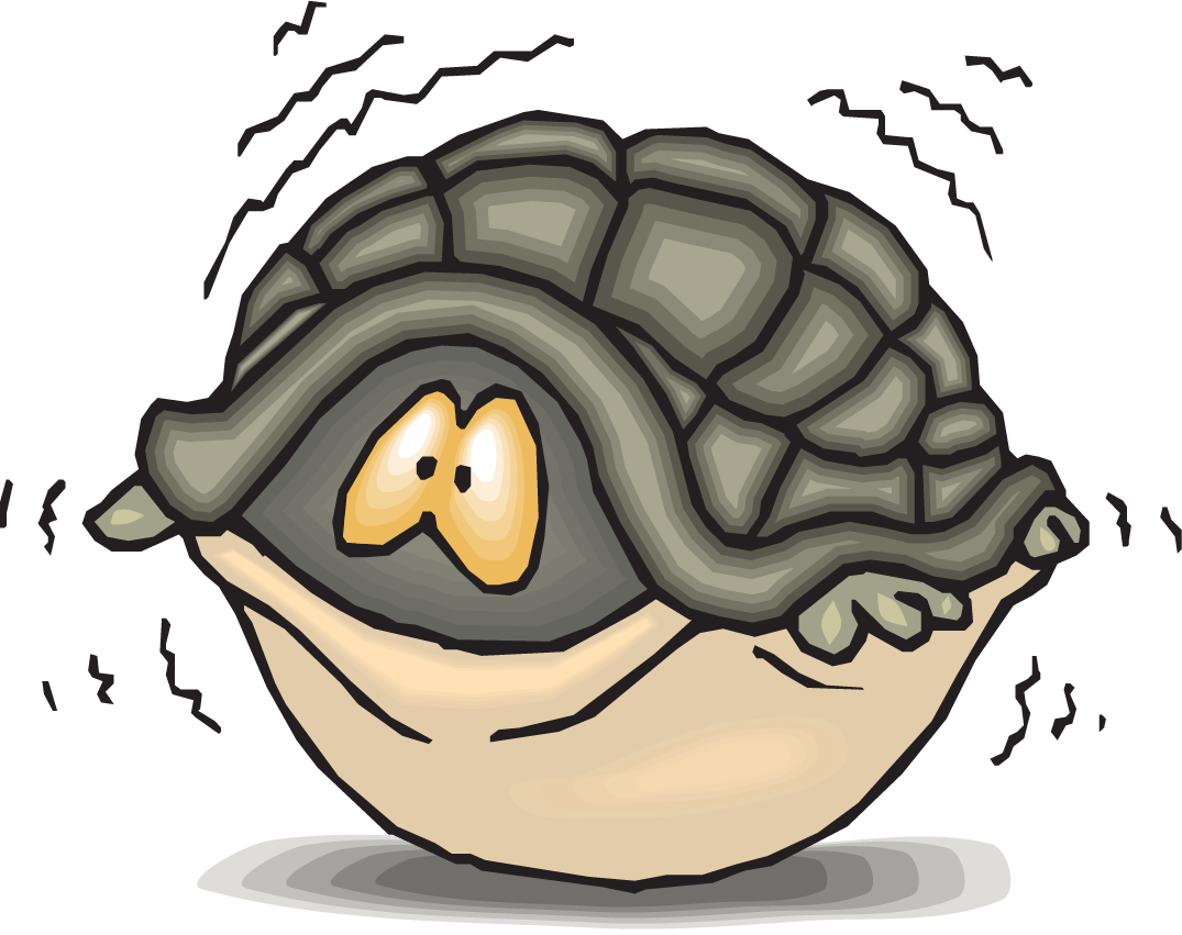 Turtle Shell Teenage Mutant Ninja Turtles Clip Art - Scared Turtle Clipart - Png Download (1075x851), Png Download
