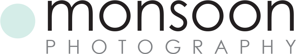 Monsoon Photography Pretoria East - Gop Clipart (1021x321), Png Download