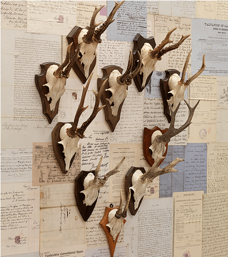 Old Antlers - Plywood Clipart (767x500), Png Download