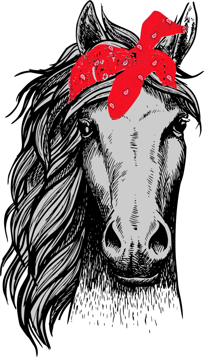 Horse Head Front View Clipart (686x1200), Png Download