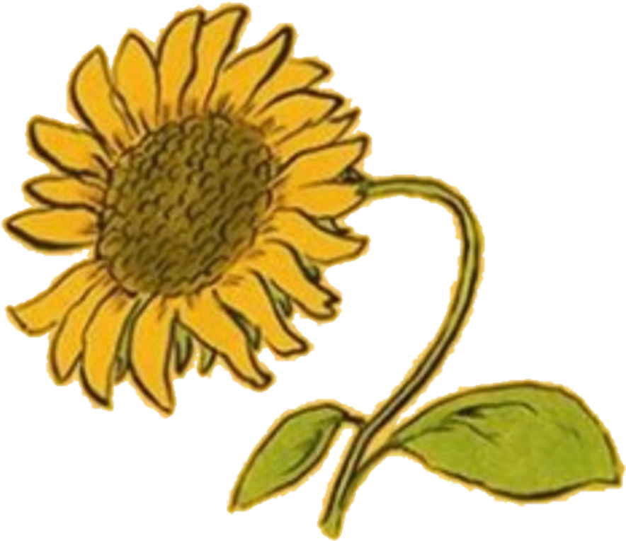 Aesthetic Clipart Random - Png Aesthetic Yellow Flower Transparent Png (1024x1024), Png Download