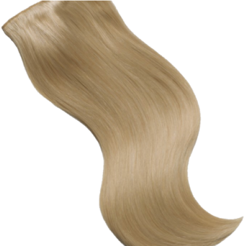 Long Hair Clipart Dirty Blonde Hair - Blond - Png Download (640x480), Png Download