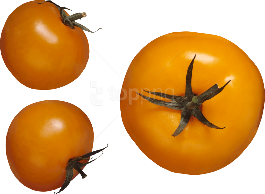 Free Png Download Red Tomatoes Png Images Background - Жёлтый Помидор Png Clipart (850x624), Png Download
