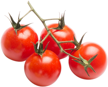 Tomatoes - Plum Tomato Clipart (866x650), Png Download
