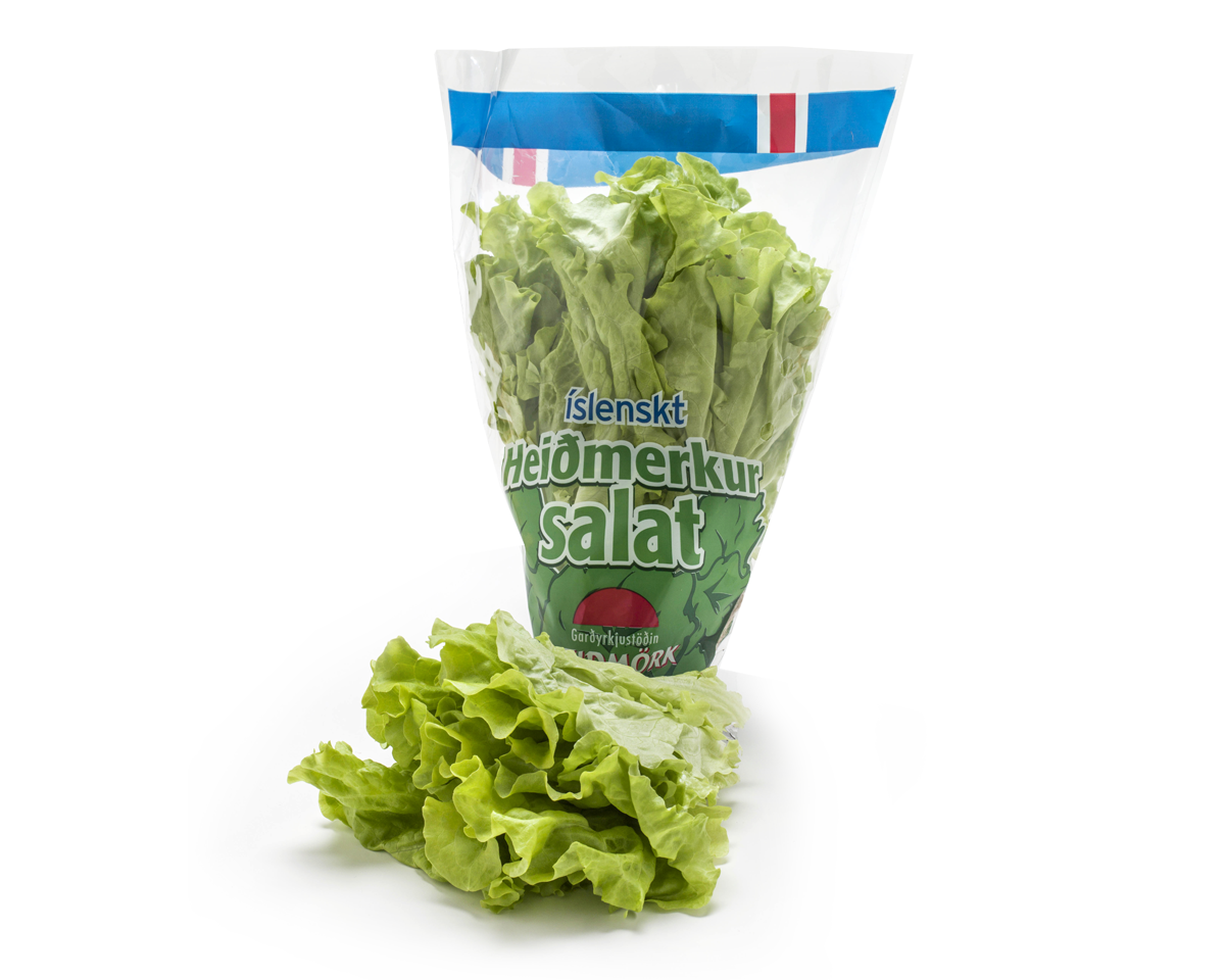 Heiðmerkur Lettuce Clipart (1200x960), Png Download