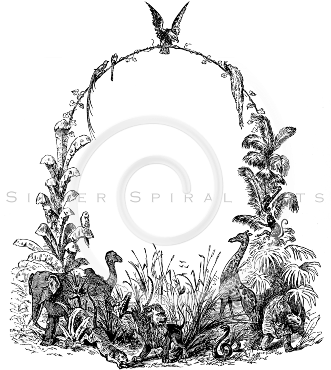 Wildlife Clipart - Png Download (660x768), Png Download