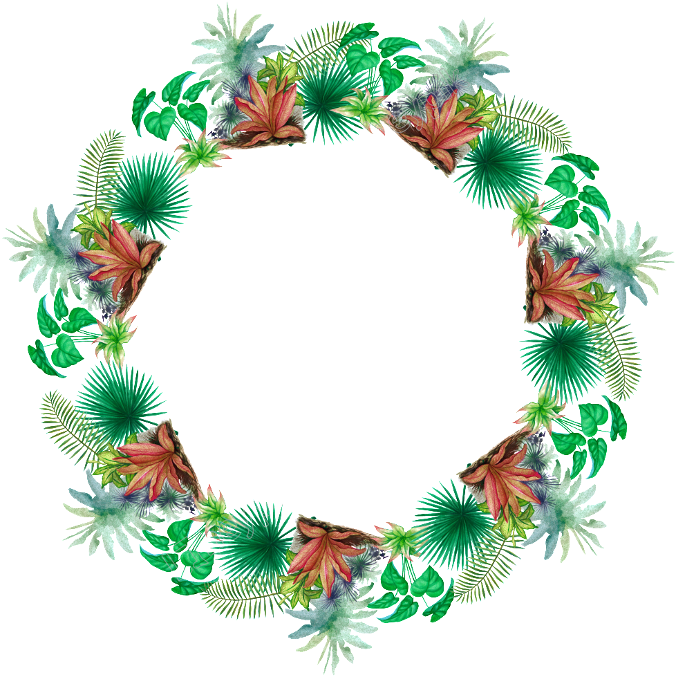 1024 X 1028 2 - Wreath Clipart (1024x1028), Png Download