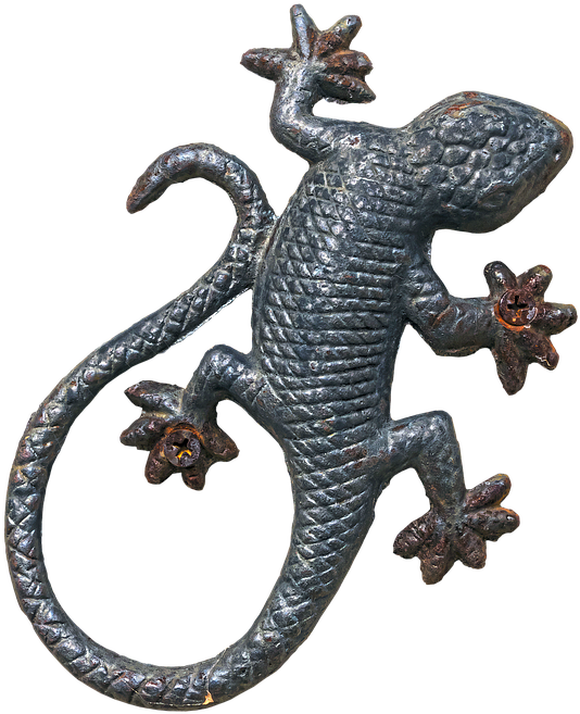 Jaszczurka Png Clipart (612x720), Png Download