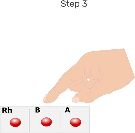 Animation Of Large Drops Of Blood Being Placed In Each - Blood Clipart (666x550), Png Download