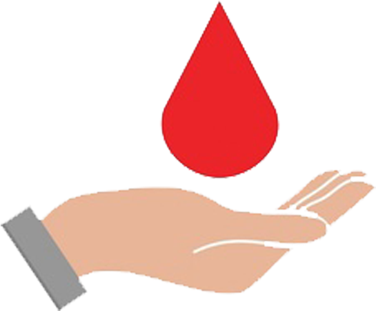 Blood Donation Clipart - Large Size Png Image - PikPng