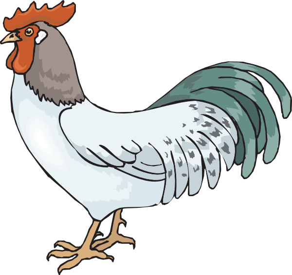 Cartoon Rooster Clipart Kid - Rooster Clipart Farm - Png Download (600x565), Png Download