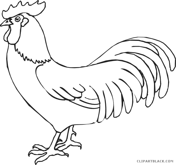 Rooster Clipart Rooster Outline - Rooster Black And White - Png Download (600x565), Png Download