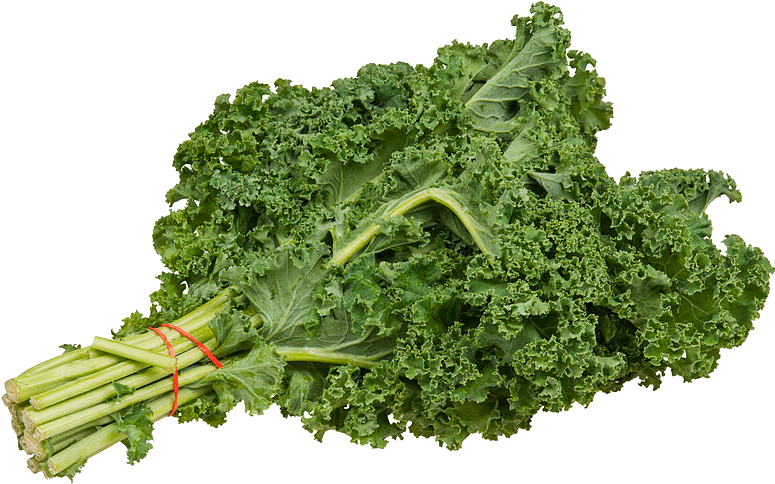 Growing Kale - Green Kale Clipart (800x507), Png Download