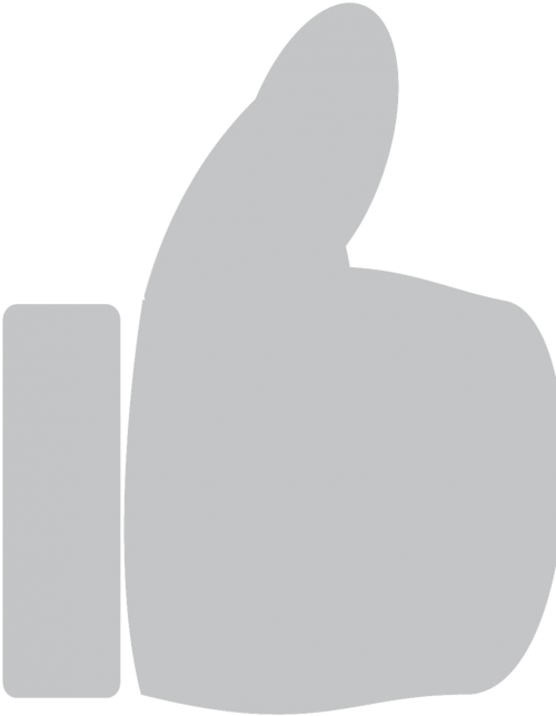 Thumbs Up,icon,like,hand - Like Grey Icon Png Clipart (500x651), Png Download