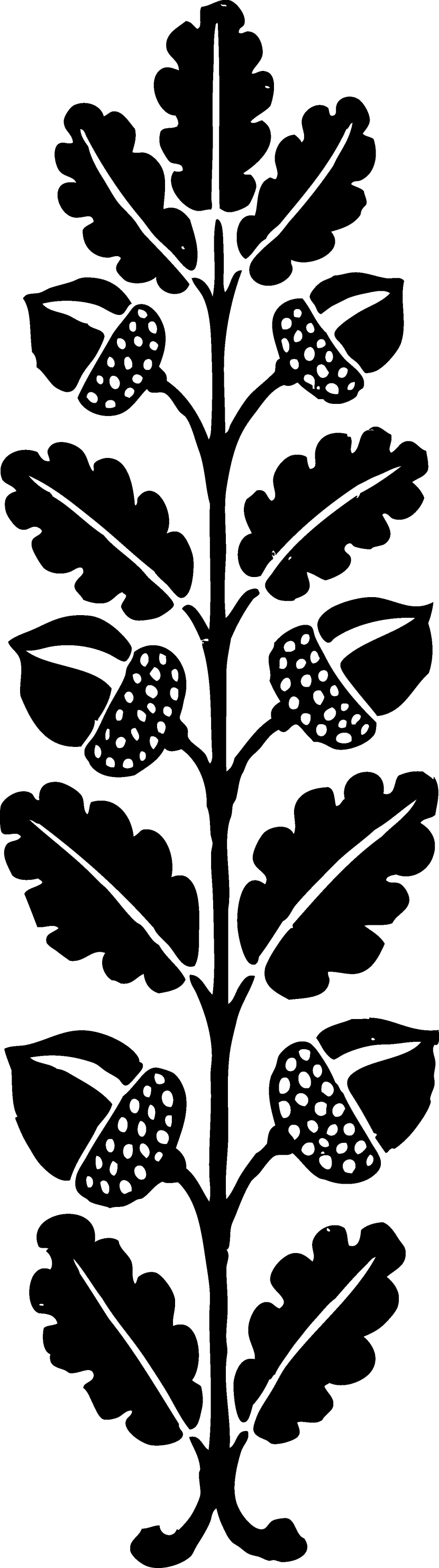 Vintage Acorn Decoration Free Clip Art - Clip Art - Png Download (830x2962), Png Download