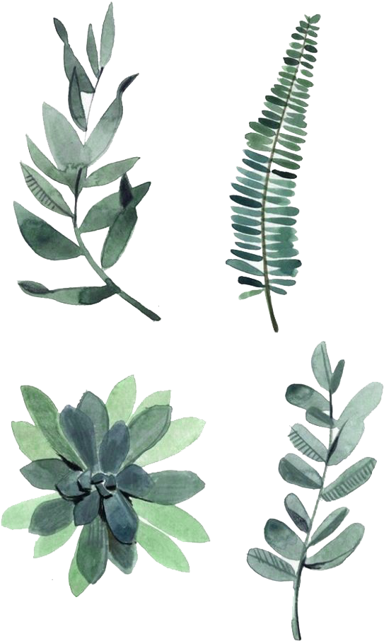 Watercolor Leaves Png Photos - Watercolor Plants Clipart (658x940), Png Download