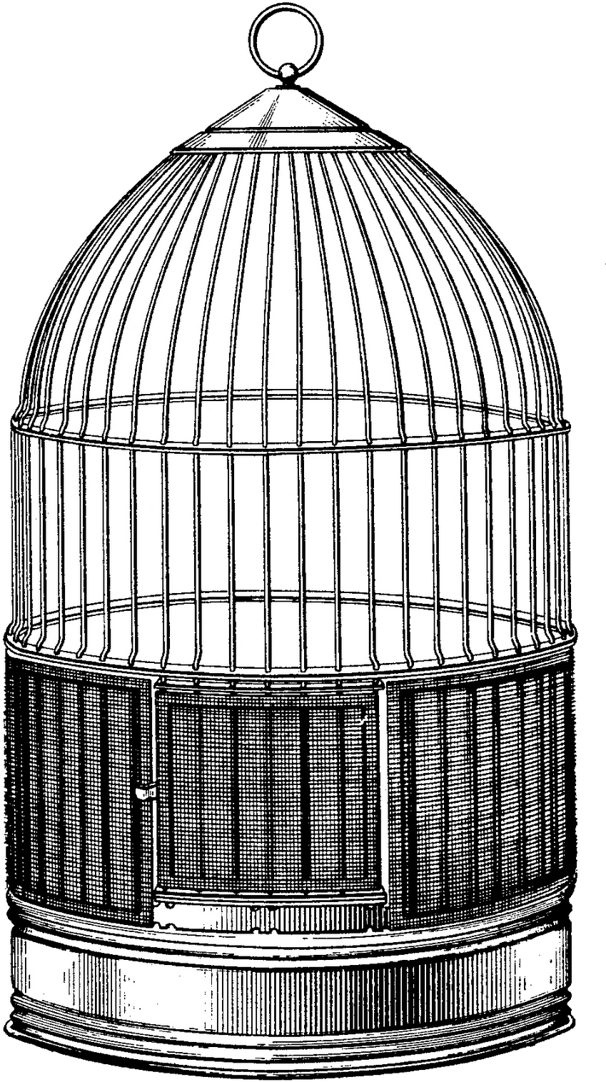 Steampunk Bird Cages - Vintage Bird Cage Drawing Clipart (887x1600), Png Download
