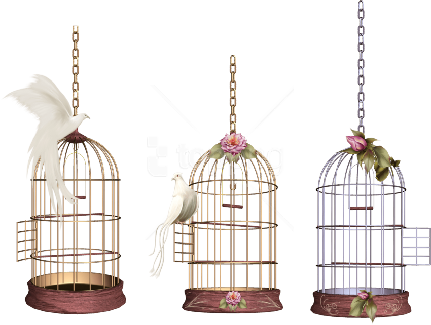 Free Png Download White Bird Cage Png Images Background - Birds Cage Png Clipart (850x642), Png Download
