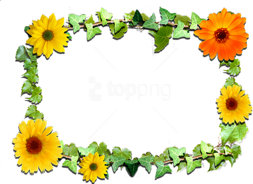 Free Png Flowers Frame Background Best Stock Photos - Flowers Clipart (850x601), Png Download