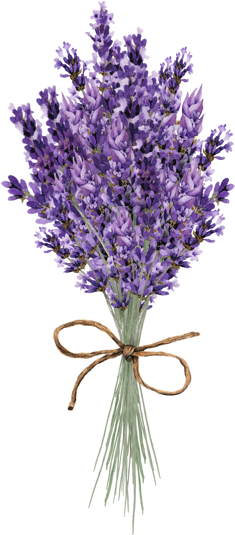 Pin By - Lavender Lilac Floral Wedding Table Seating Place Card Clipart (1066x2550), Png Download