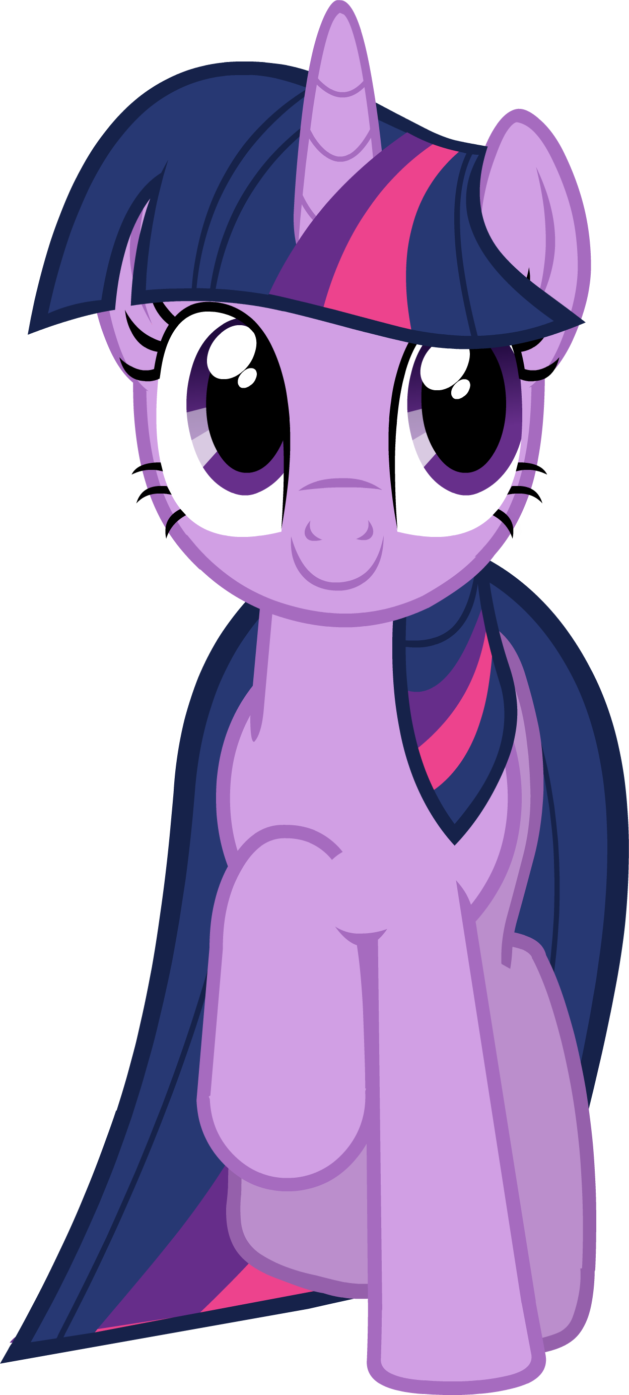 Twilight Sparkle Vector - My Little Pony Twilight Sparkle Png Clipart (1249x2767), Png Download