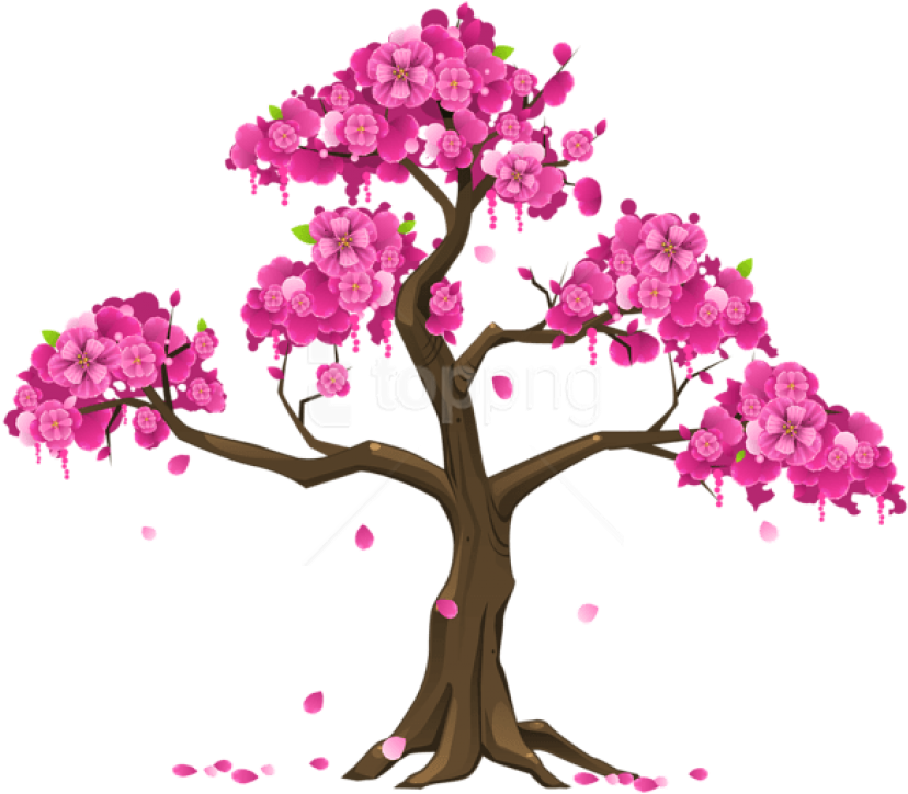 Free Png Download Pink Tree Png Images Background Png - Cherry Blossom Tree Clipart Transparent Png (850x744), Png Download