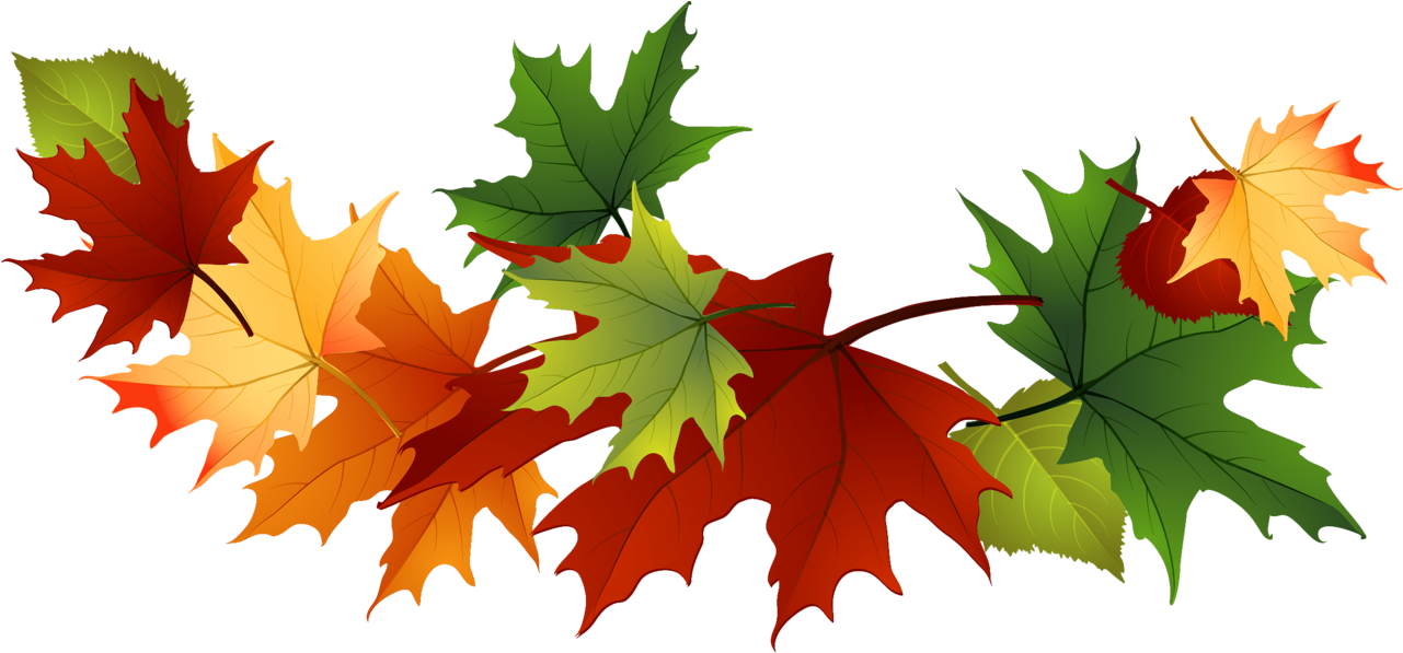 Fall Leaves Clip Art Free Fall Transparent Leaves - Clip Art - Png Download (1281x597), Png Download