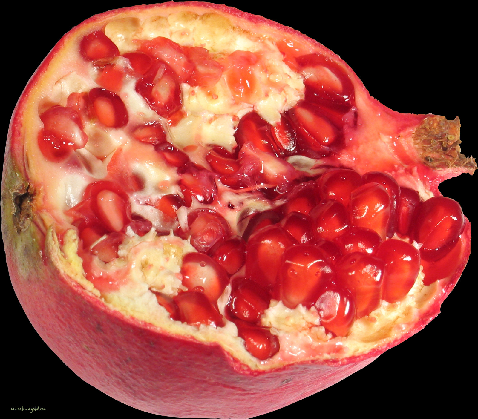Pomegranate Clipart (1600x1403), Png Download