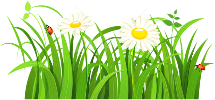 Free Png Download Grass With Daisies And Lady Bugs - Green Grass Vector Png Clipart (850x424), Png Download
