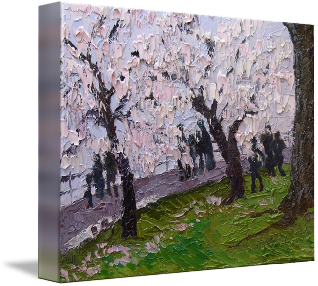 Landscape Drawing Cherry Blossom - Canoe Birch Clipart (650x585), Png Download